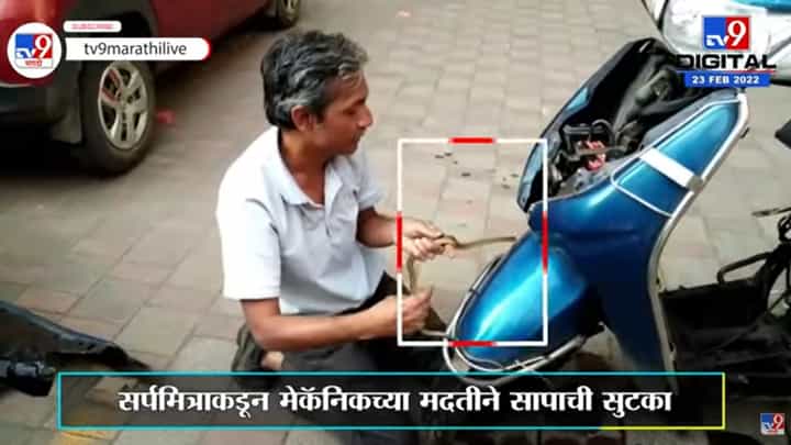 Activa गाडीत घुसला साप, सर्पमित्राकडून सापाची सुटका, Ambarnathमधली घटना Activa गाडीत घुसला साप, सर्पमित्राकडून सापाची सुटका, Ambarnathमधली घटना