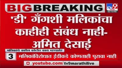 सहआरोपींनी घेऊन मलिकांचा तपास कराः अमित देसाई