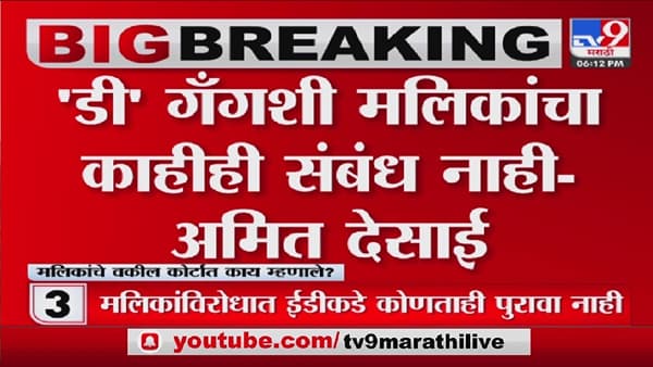 सहआरोपींनी घेऊन मलिकांचा तपास कराः अमित देसाई