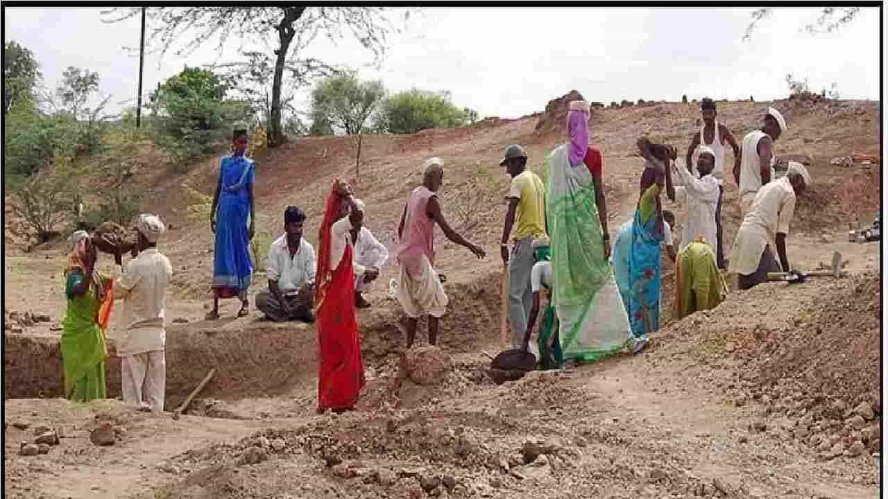 नागपूर जिल्ह्यात शेतकऱ्यांनी नोंदविला दुप्पट सहभाग, मनरेगातील कोणत्या योजनेत घेत आहेत पुढाकार?