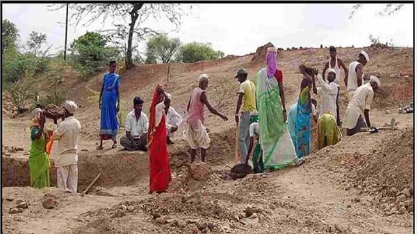 नागपूर जिल्ह्यात शेतकऱ्यांनी नोंदविला दुप्पट सहभाग, मनरेगातील कोणत्या योजनेत घेत आहेत पुढाकार?