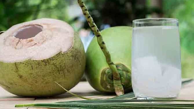 मधुमेहाच्या रुग्णांनी नारळ पाणी प्यावे का? तुमचाही गोंधळ होतोय, जाणून घ्या ‘फॅक्ट’