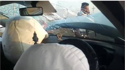 भरधाव कारला धडकून नीलगाय ठार, गाडीचा पुढील भाग चक्काचूर