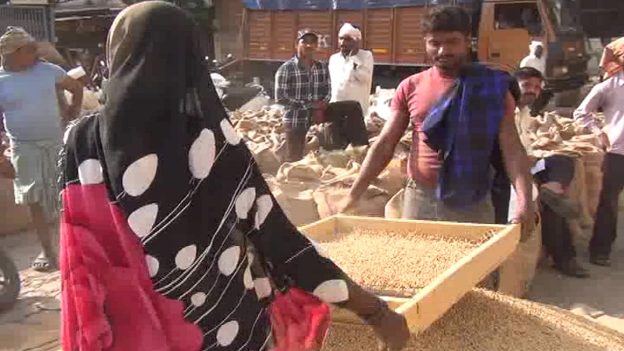 लातूरच्या बाजारात सोयाबीनचे भाव वधारले असल्यामुळे शेतक-यांमध्ये समाधान व्यक्त केलं जात आहे