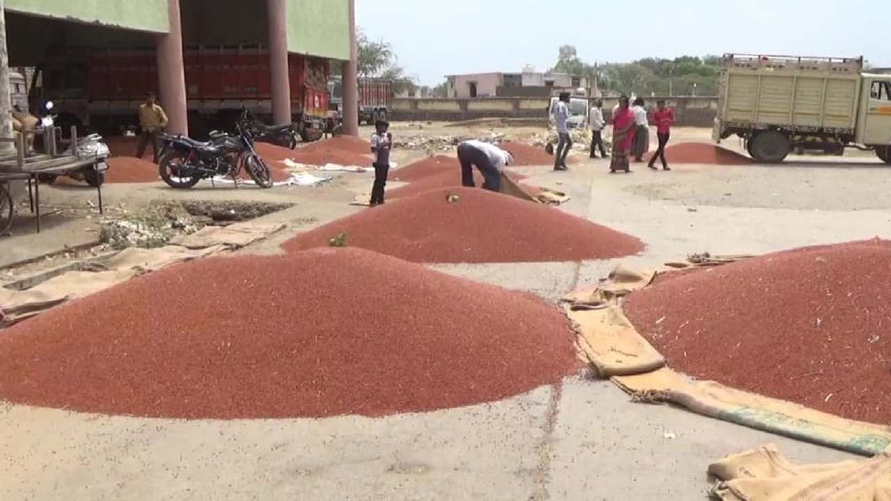 तूर खरेदी केंद्र : सुविधांपेक्षा अडचणी अधिक, खरेदी केंद्रावर विक्री सोडा नोंदणीही नाही, नेमके कारण काय? तूर खरेदी केंद्र : सुविधांपेक्षा अडचणी अधिक, खरेदी केंद्रावर विक्री सोडा नोंदणीही नाही, नेमके कारण काय?