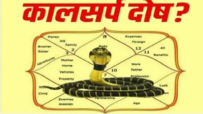 कालसर्प दोषापासून मुक्ती मिळवण्यासाठी महाशिवरात्रीला करा हे खास उपाय!
