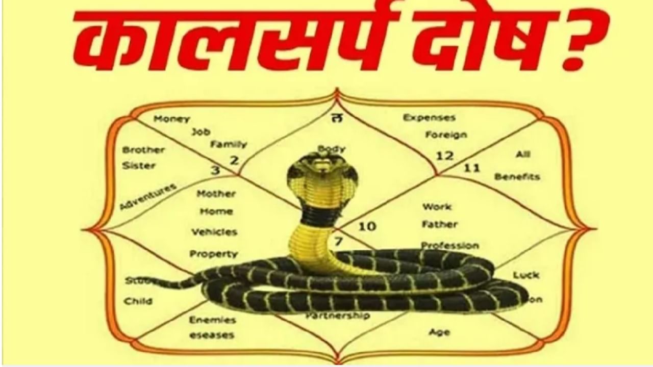 कालसर्प दोषापासून मुक्ती मिळवण्यासाठी महाशिवरात्रीला करा 'हे' खास उपाय! कालसर्प दोषापासून मुक्ती मिळवण्यासाठी महाशिवरात्रीला करा 'हे' खास उपाय!
