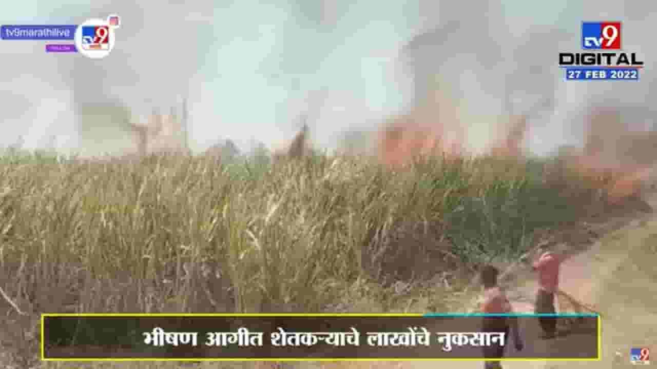 Sugarcane Fire | पंढरपूरच्या Khardi येथे ऊसाच्या फडाला आग, लाखोंचे नुकसान