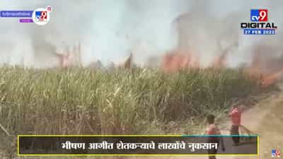 Sugarcane Fire | पंढरपूरच्या Khardi येथे ऊसाच्या फडाला आग, लाखोंचे नुकसान
