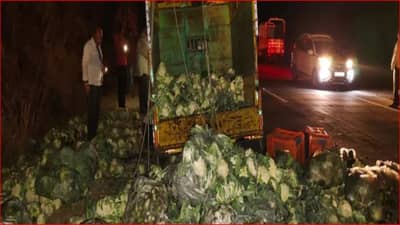 वाशिम : अमरावती महामार्गावर भीषण अपघात; अपघातात रिक्षाचालकाचा जागीच मृत्यू