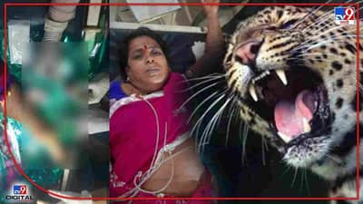 Aurangabad | बाईकवर बिबट्याची झेप, पत्नीला वाचवण्यासाठी पतीचा आरडाओरडा! थरकाप उडवणारी घटना