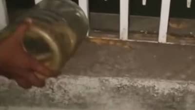 शेतातले साप थेट शासकीय कार्यालयांमध्ये, शेतकऱ्यांच्या अजब प्रकाराची राज्यभर चर्चा, पण नेमके कारण काय?