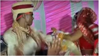 …जेव्हा शेळीला राग येतो..! पाहा शेळी आणि मोर यांच्यात झाली लढाई, Video viral