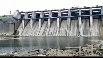 पश्चिम विदर्भात यंदाही पाणी टंचाईची शक्यता, धरणात उरलंय फक्त एवढंच पाणी...