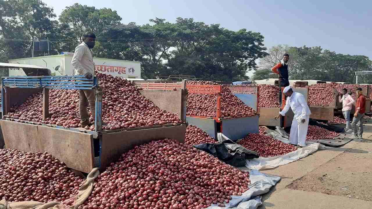 Onion : कांद्याचा वांदा, देशातील मुख्य बाजारपेठेत 50 पैसे किलो कांदा, येवला तालुक्यातील शेतकऱ्यास निच्चांकी दराचा मान