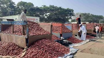 Onion : कांद्याचा वांदा, देशातील मुख्य बाजारपेठेत 50 पैसे किलो कांदा, येवला तालुक्यातील शेतकऱ्यास निच्चांकी दराचा मान