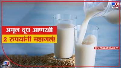 Amul Milk Price Hike : अमूल दूध महागलं! प्रतिलीटर 2 रुपयांनी वाढ, नवी दरवाढ कधीपासून लागू?