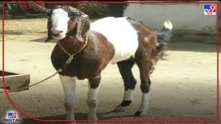 फार्महाऊसवर काम करणाऱ्या तरुणाने वडील गमावले. त्यांचे सांत्वन करण्यासाठी जॅकी श्रॉफ थेट घरी