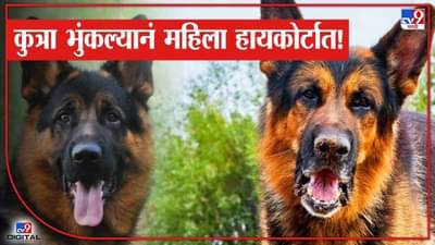 सतत भुंकणाऱ्या शेजारच्या कुत्र्याला गप्प ठेवा! नागपुरात दोन ज्येष्ठ महिलांची उच्च न्यायालयात धाव