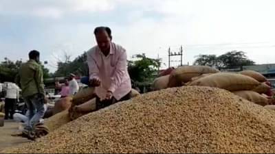 Amravati Market : आंतरराष्ट्रीय घडामोडींचा परिणाम सोयाबीन दरावर, अंतिम टप्प्यात विक्रमी दर