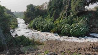 धक्कादायक | त्यानं शेळी मारली म्हणून मृतदेहावरच विष टाकलं, सोयगावातल्या दोन बिबट्यांच्या मृत्यूचं कारण उलगडलं… 