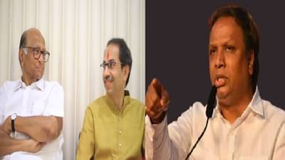 “उद्धवजी, तुम्ही शरद पवार यांच्या समोर झुकू नका”, आशिष शेलारांचा ठाकरेंना सल्ला