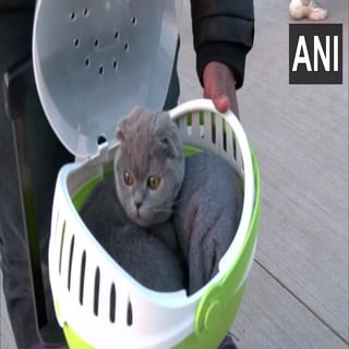 Zodiac | एखादी गोष्ट करण्याआधी हजार वेळा विचार करतात या 4 राशींचे लोक, तुमचा समावेश यामध्ये आहे का ?