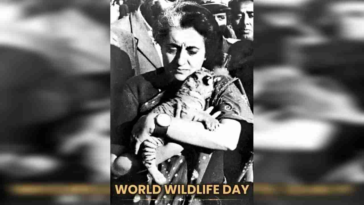 #WorldWildlifeDay : काँग्रेसच्या Indira Gandhi यांच्या फोटोनंतर भाजपानं Share केला हा Photo, सोशल मीडियावर चर्चा