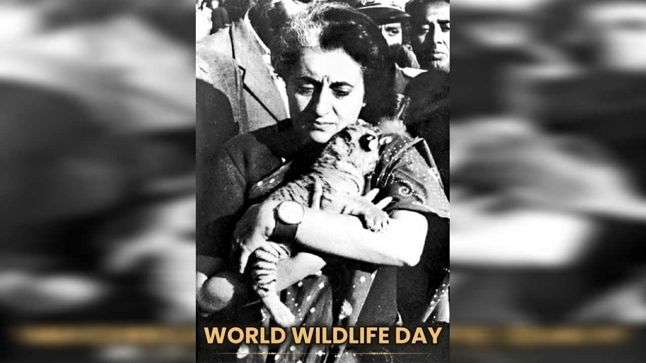 #WorldWildlifeDay : काँग्रेसच्या Indira Gandhi यांच्या फोटोनंतर भाजपानं Share केला 'हा' Photo, सोशल मीडियावर चर्चा