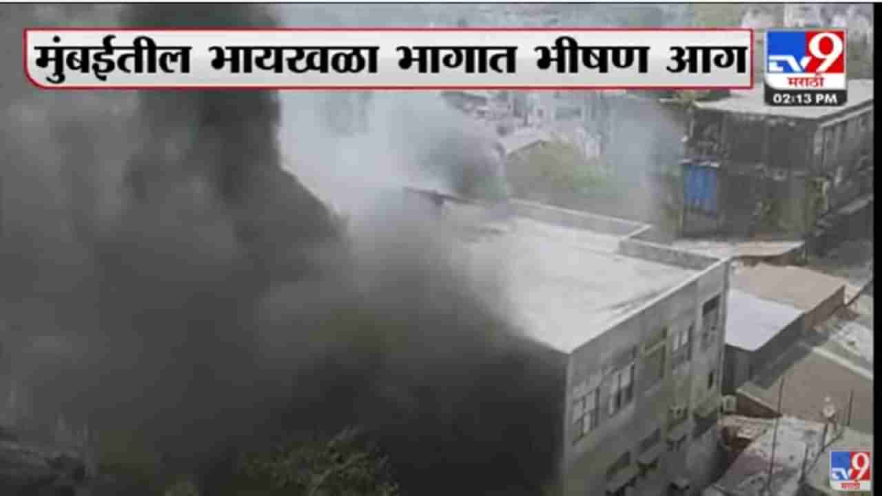 Mumbai Fire : मुंबईतील भायखळा येथील झकेरिया इंडस्ट्रियल इस्टेटमध्ये भीषण आग, फायर ब्रिगेड घटनास्थळी