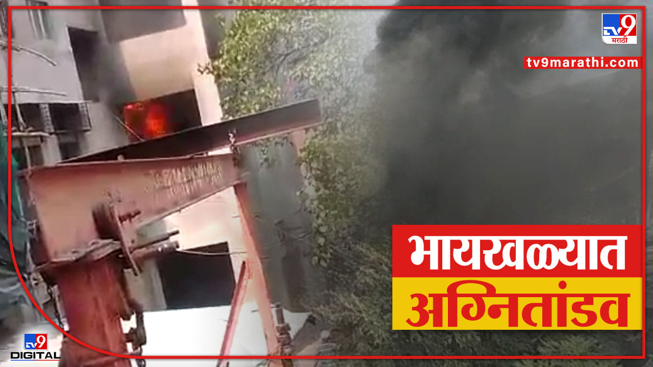भायखळ्यात अग्नितांडव! झकेरीया इंडस्ट्रियल इस्टेटमध्ये आग लागल्यानं खळबळ ...