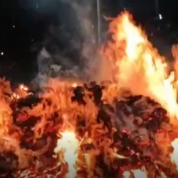 होळी (Holi) म्हणजे रंगांचा सण, फाल्गुन महिन्यात येणारी पौर्णिमा ही होळी पौर्णिमा म्हणून ओळखली जाते. महाराष्ट्रासह देशभरात मोठ्या उत्साहात होळी साजरी केली जाते.