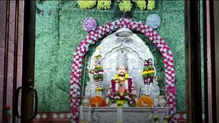 Amalaki Ekadashi 2022: अमलकी एकादशी म्हणजे नक्की काय ? जाणून घ्या व्रत आणि त्याचे महत्त्व