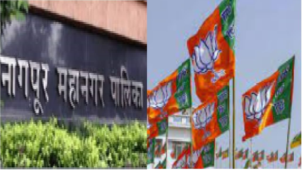 नागपूर मनपा निवडणूक, भाजपकडून इच्छुकांच्या मुलाखती, काँग्रेस-राष्ट्रवादीची स्थिती काय? नागपूर मनपा निवडणूक, भाजपकडून इच्छुकांच्या मुलाखती, काँग्रेस-राष्ट्रवादीची स्थिती काय?