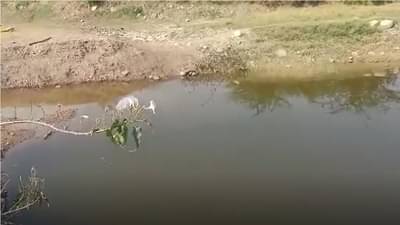 ओढ्यातील पाण्यात बुडून मृत्यू तीन अल्पवयीन मुलांचा मृत्यू, ऊसतोड कामगाराच्या कुटुंबावर शोककळा