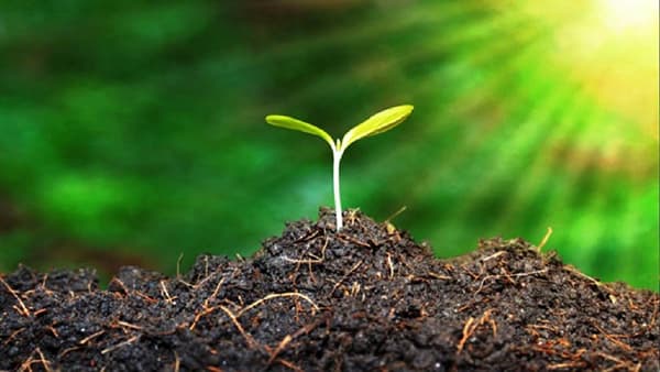 Organic Farm : केंद्र सरकारचा भर, सेंद्रीय शेतीवर, 50 हजारांची मदत अन् योजनांचाही लाभ मिळणार
