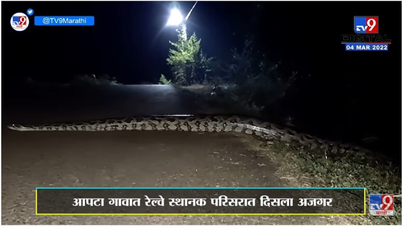 Video: गॅरंटी, असं महाकाय जनावर वळवळत जाताना तुम्ही पाहिलं नसेल, कमजोर दिलवाले ना देखे Video: गॅरंटी, असं महाकाय जनावर वळवळत जाताना तुम्ही पाहिलं नसेल, कमजोर दिलवाले ना देखे