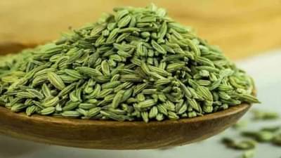 Fennel Seeds : वजन कमी करताय? पण काही केल्या होत नाही, मग बडीशेपचे हे 6 फायदे एकदा नक्कीच वाचा!