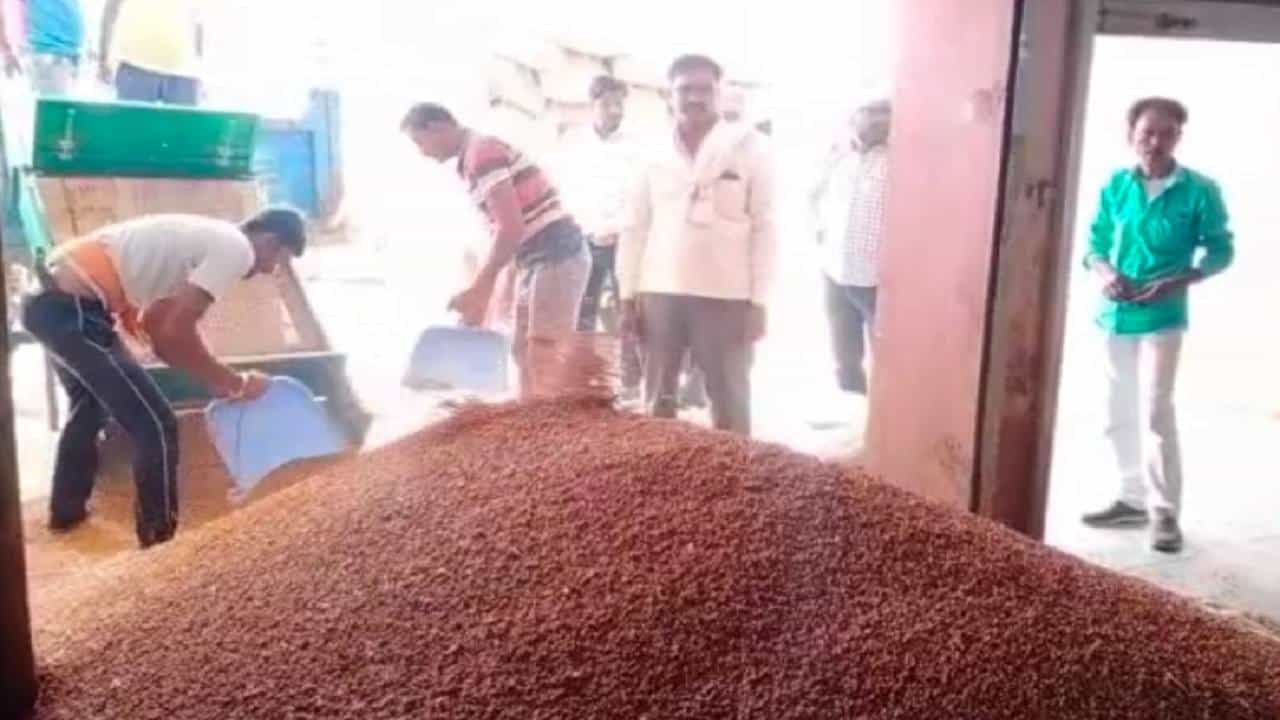 Chickpea Crop : नाफेड चा उद्देश साध्य, शेतकरी उत्पादक कंपन्याच्या माध्यमातून विक्रमी हरभरा खरेदी