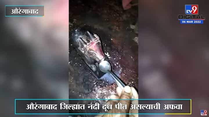 Rumors | औरंगाबाद जिल्ह्यात नंदी दूध पीत असल्याची अफवा Rumors | औरंगाबाद जिल्ह्यात नंदी दूध पीत असल्याची अफवा