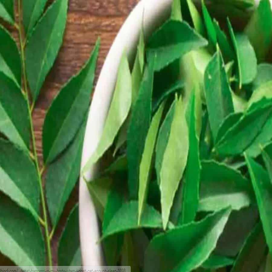कढीपत्त्यामध्ये व्हिटॅमिन सी आणि आयर्न असल्याने केस गळणे कमी होते. दररोज रिकाम्या पोटी 3 ते 4 पाने कढीपत्त्याची खा. यामुळे केस केस वाढण्यास आणि केस गळतीची समस्या कमी होण्यास नक्की मदत होईल.