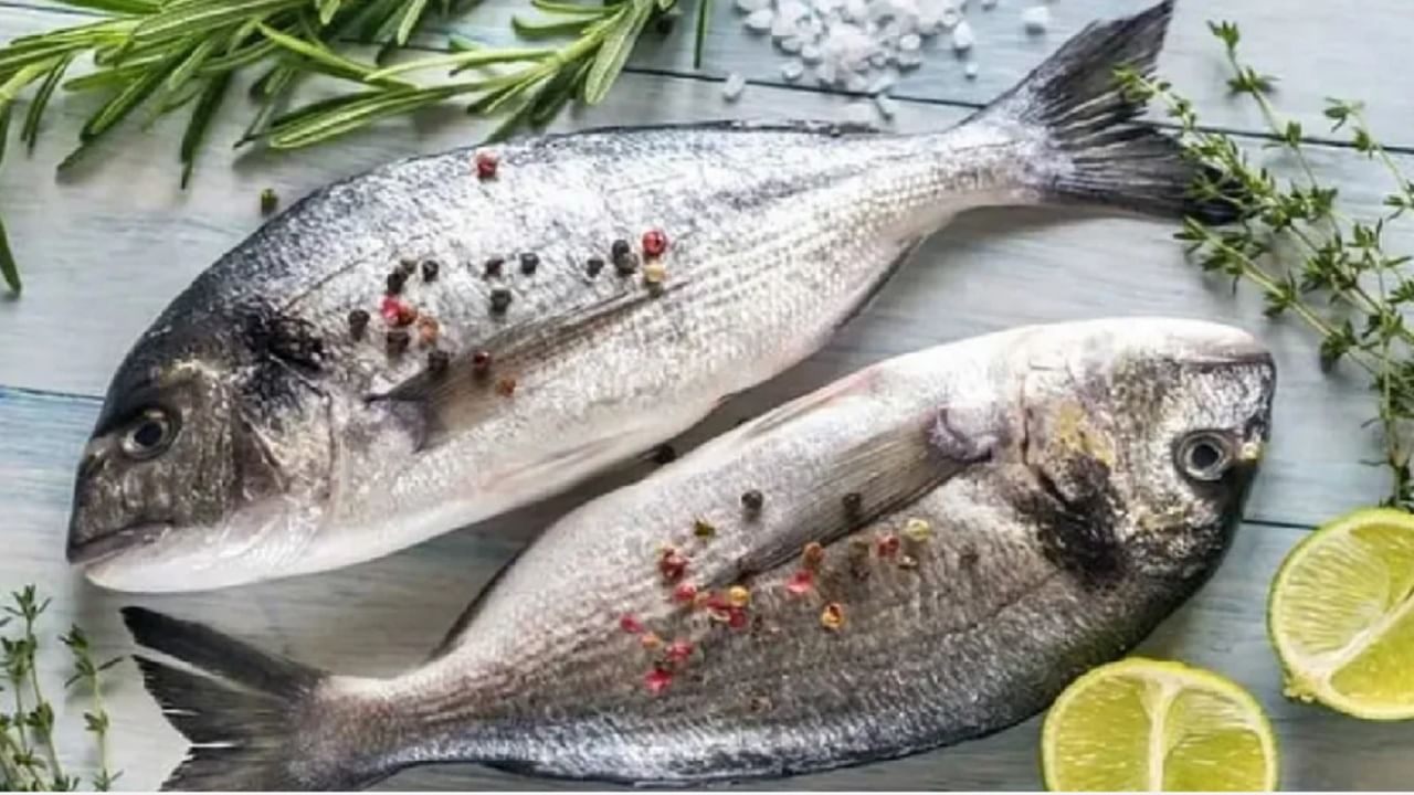 Mumbai Fish : मुंबईकरांना कॅन्सरचा धोका? बोबिंल, घोळ, माशात मायक्रोप्लॅस्टिकचे अंश