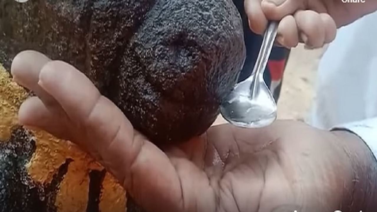 Nagpur | महादेवाचा नंदी दूध आणि पाणी पितो? नागपुरात पसरली अफवा, सिद्ध करणाऱ्यास 'अंनिस'कडून 25 लाखांचे बक्षीस Nagpur | महादेवाचा नंदी दूध आणि पाणी पितो? नागपुरात पसरली अफवा, सिद्ध करणाऱ्यास 'अंनिस'कडून 25 लाखांचे बक्षीस