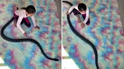 तिला सांगा कोणीतरी तो साप आहे, खेळणं नाही! Viral होत असलेला हा धक्कादायक Video पाहा