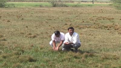 प्रश्न एका संरक्षण भितींचा नुकसान मात्र कोट्यावधीचे, काय आहेत नांदूरमेश्वर धरणालगतच्या शेतकऱ्यांच्या समस्या?