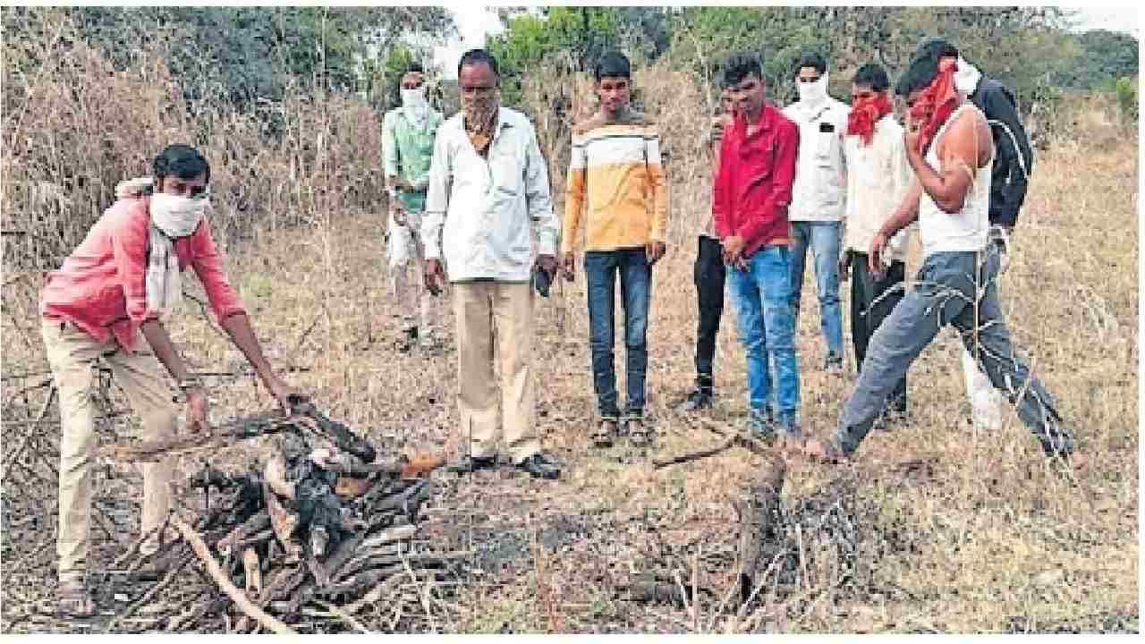 धावा धावा विहिरीत अस्वल पडलं, गावात नुसता धुमाकूळ, वन विभागानं उतरून पाहिलं तर निघाला....