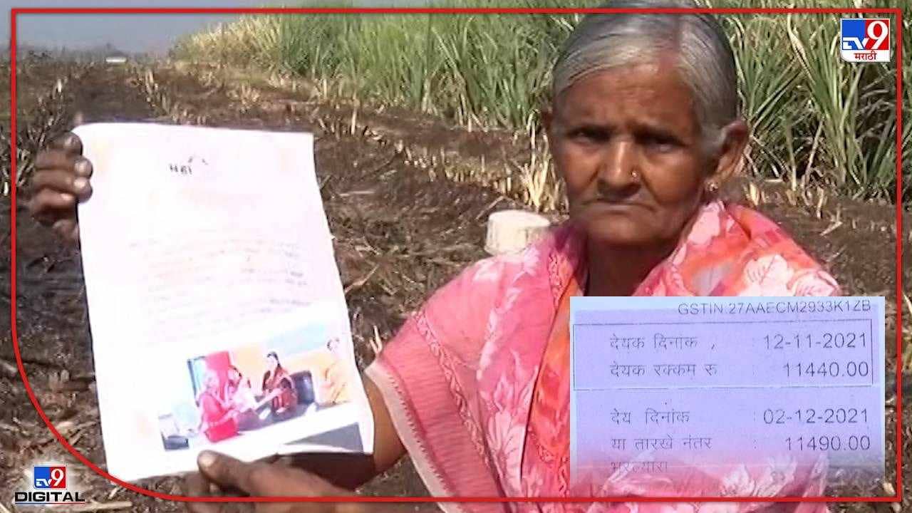 Special News : महावितरणचा शॉक: वीज जोडणीविनाच हजारोंचे वीजबिल, महिला दिनादिवशीच विधवेची क्रुरचेष्टा