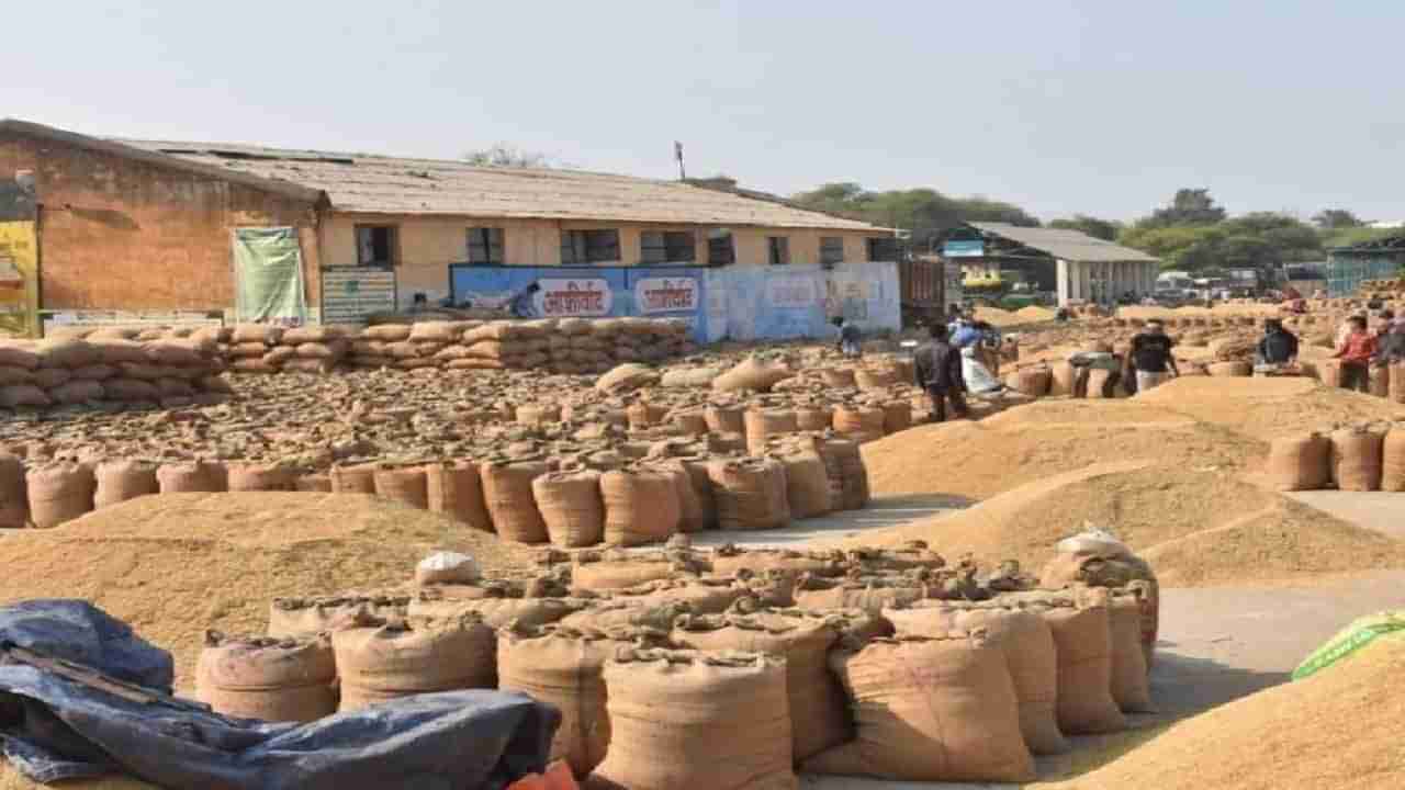 Chandrapur : धान खरेदी केंद्र सुरु होऊनही शेतकऱ्यांच्या समस्या कायम, पालकमंत्र्यांच्या पत्राने मिटणार का शेतकऱ्यांचा प्रश्न!