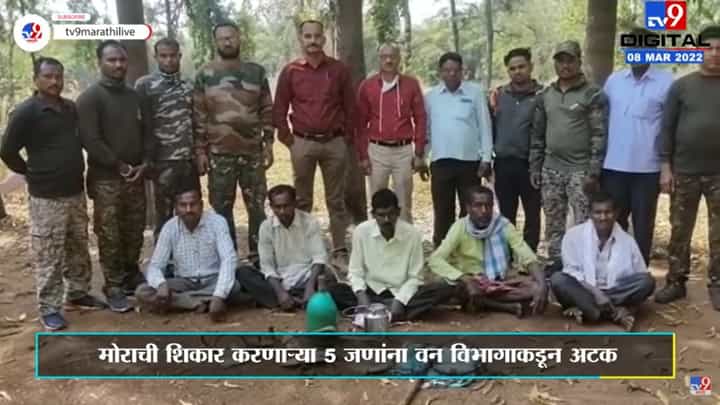 सूरतोली वनक्षेत्रात मोराची शिकार करणाऱ्या 5 आरोपींना Gondia वन विभागाकडून अटक सूरतोली वनक्षेत्रात मोराची शिकार करणाऱ्या 5 आरोपींना Gondia वन विभागाकडून अटक
