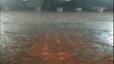 निफाड परिसरात रिमझिम पाऊस, वातावरणात पसरला गारवा; अनेक पिकांना फटका बसण्याची शक्यता